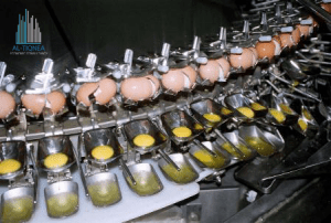 Egg pasteurization 